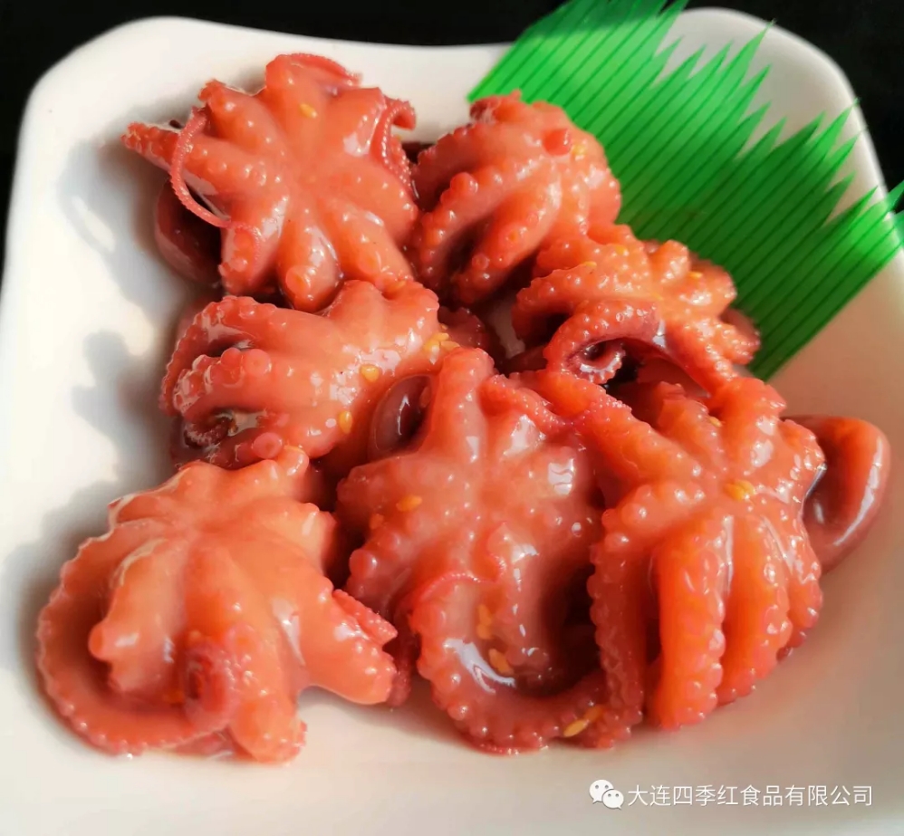 中华小章鱼.jpg