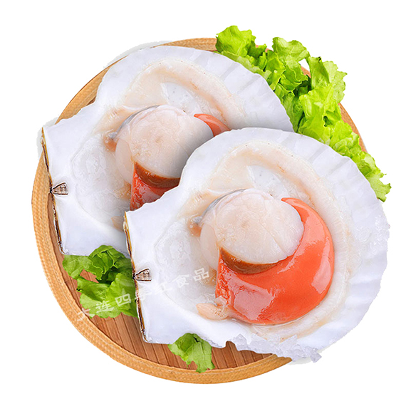 冻半壳虾夷扇贝3.jpg